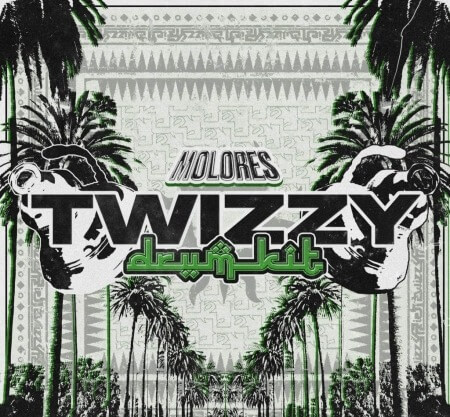 MOLORES Twizzy Drum Kit WAV Synth Presets